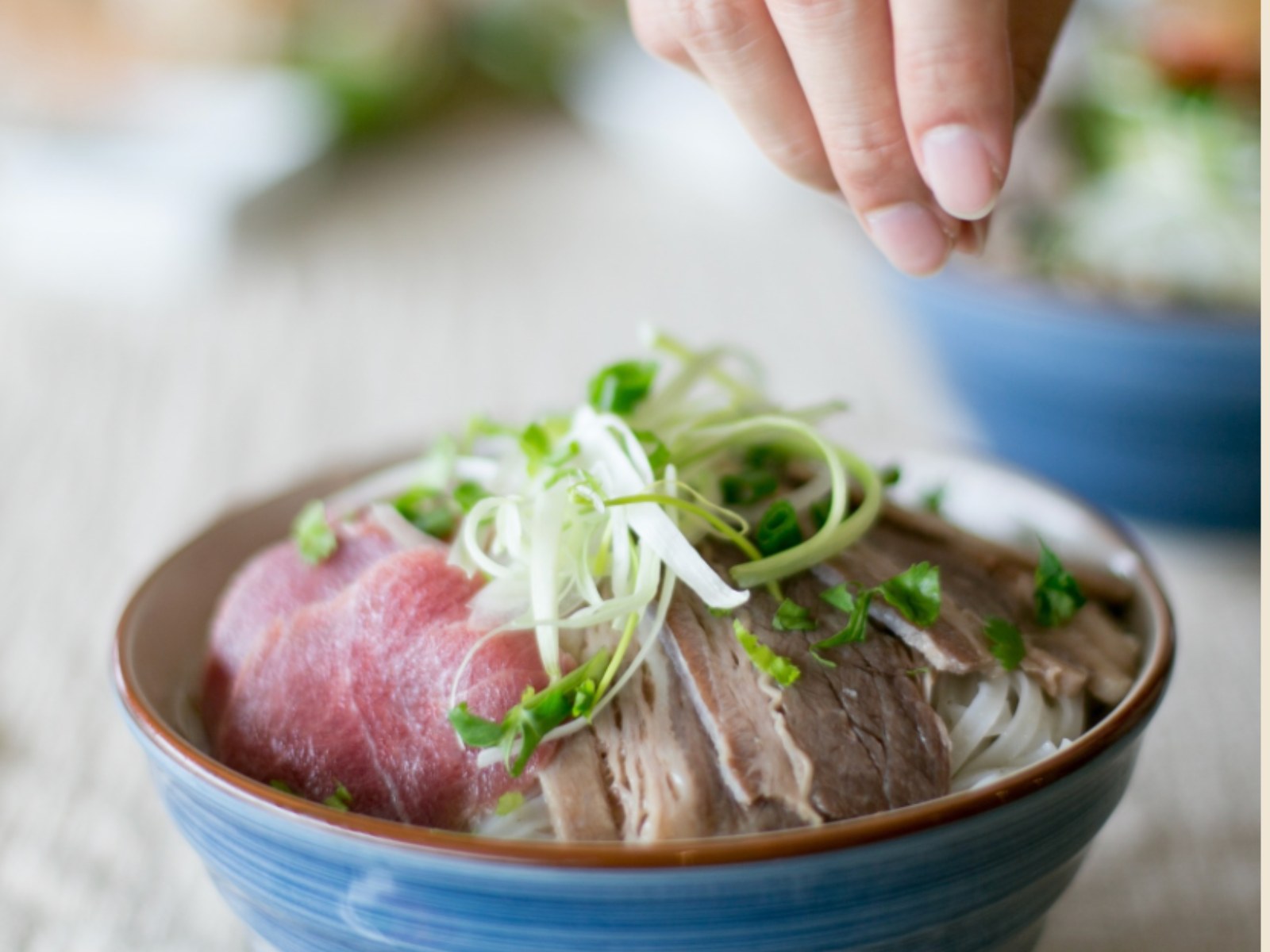 The Art of Beef Phở